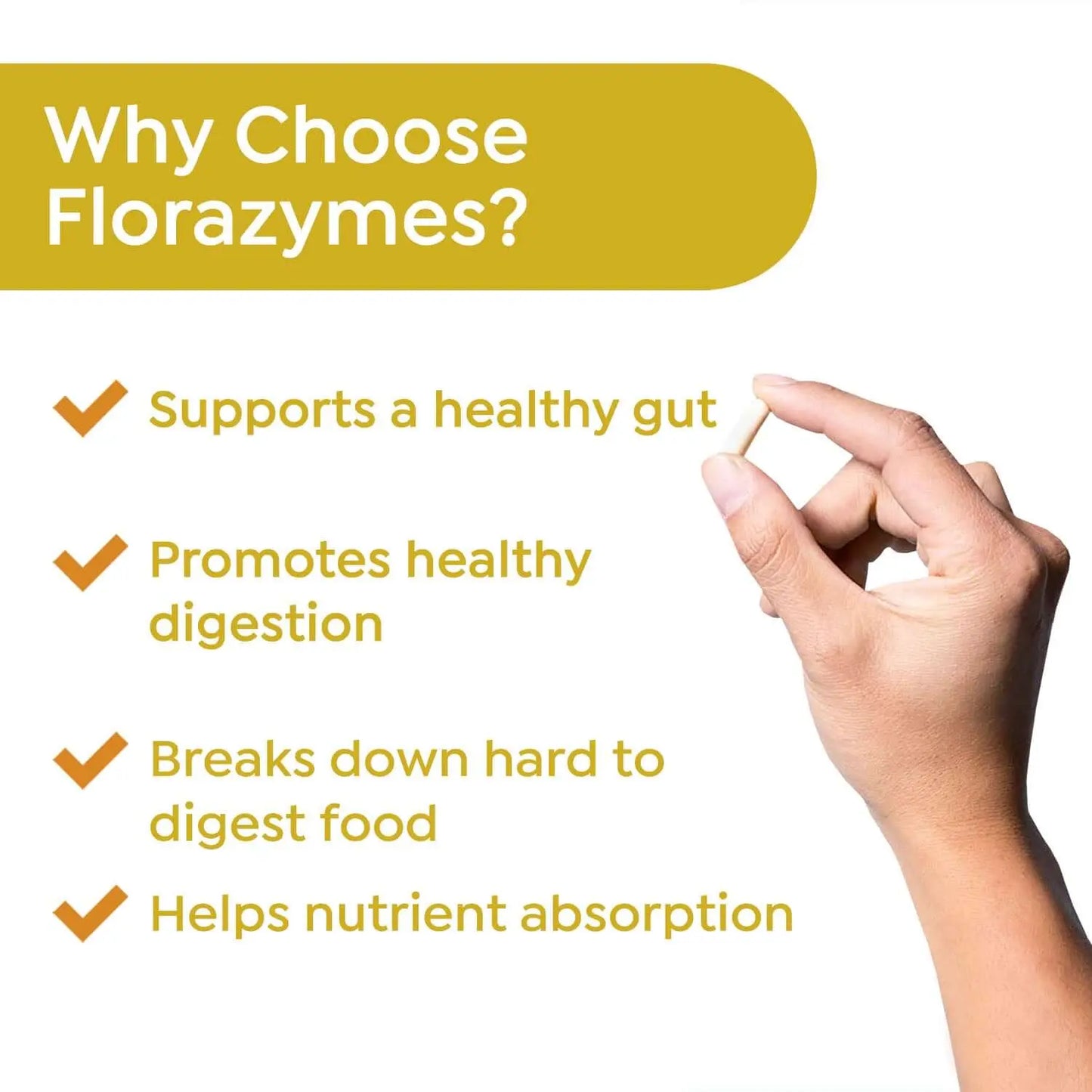Florazymes Digestive Enzyme Supplement - Revival Point™