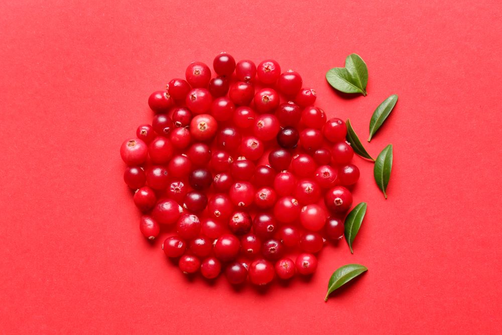 Lingonberry extract