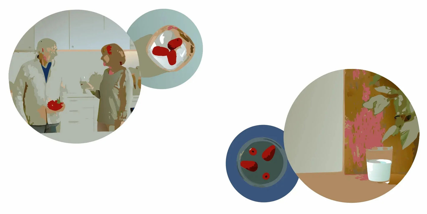 Seniors enjoying probiotic-rich foods for better digestion, a key benefit of probiotics.