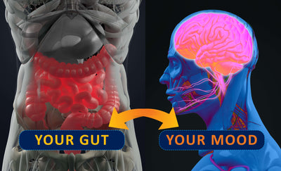 Can a Leaky Gut Cause Anxiety? What You Should Know