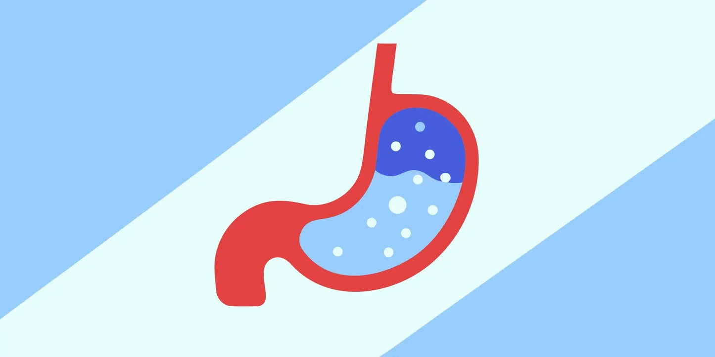 How digestive enzymes work in the stomach to help relieve bloating and gas.