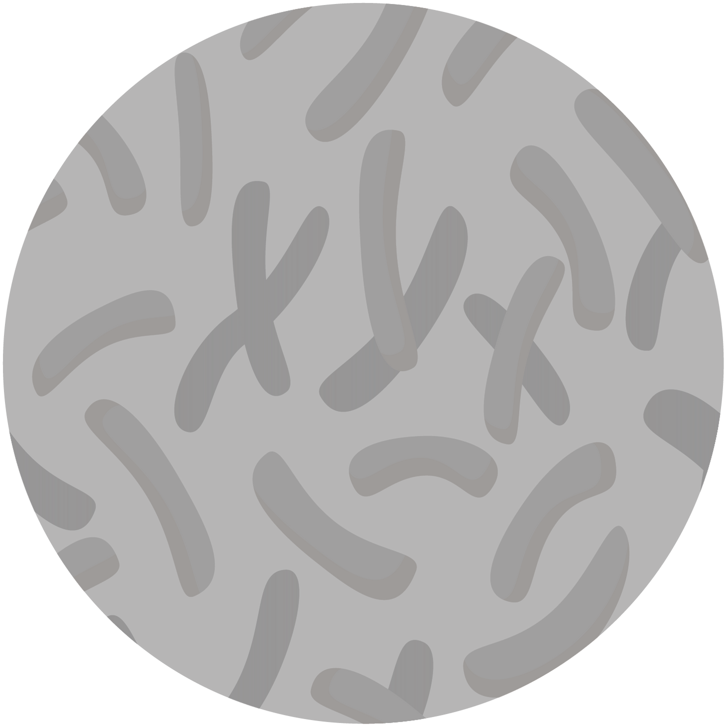 Bifidobacterium lactis probiotic strain